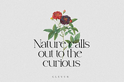 Cotton Kindly - Modern Serif Font, a Serif Font by ClevUs (Thumbnail 2 of 12)