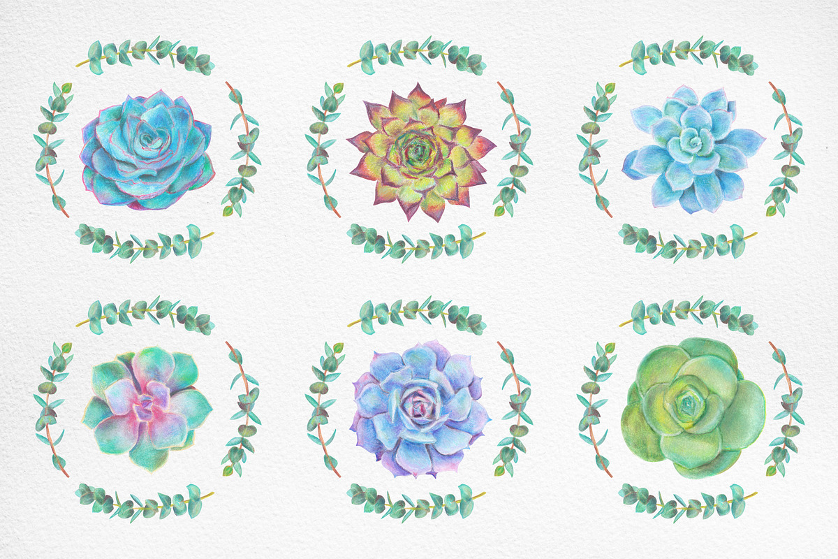 Hand drawn Succulents Clipart, an Illustration by Artemisia_Art (Photo 4 of 6)