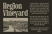 Belgino – Modern Stylish Serif Font, a Serif Font by Blankids Studio (Thumbnail 8 of 9)