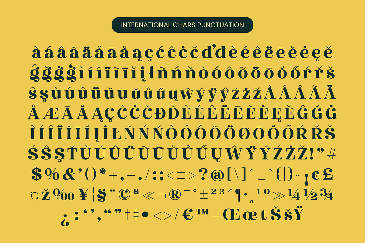 Metguy Behope Bold Serif Display, a Serif Font by timelesstype.co (Photo 19 of 20)