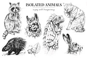 Wild animals. Sketch edition. 22 PNG, an Animal Illustration by Art by Lady Natali (Thumbnail 4 of 6)