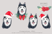 Christmas Husky Dog Winter Clipart, an Illustration by Ksenia Shmakova (Thumbnail 3 of 6)