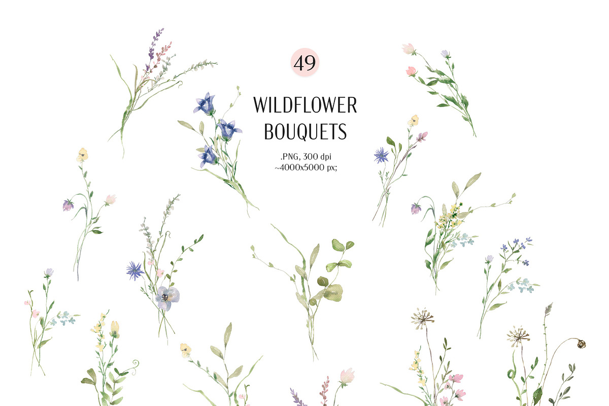 Summer Watercolor Wildflowers, a Decorative Illustration by Les Frolova (Photo 4 of 11)