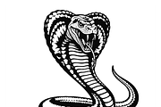 Majestic Cobra Illustration, an Object Illustration by CarWrap design (Thumbnail 2 of 3)