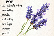 Spring Seasonal Elements Clipart, an Illustration by Libby Wishes (Thumbnail 5 of 5)