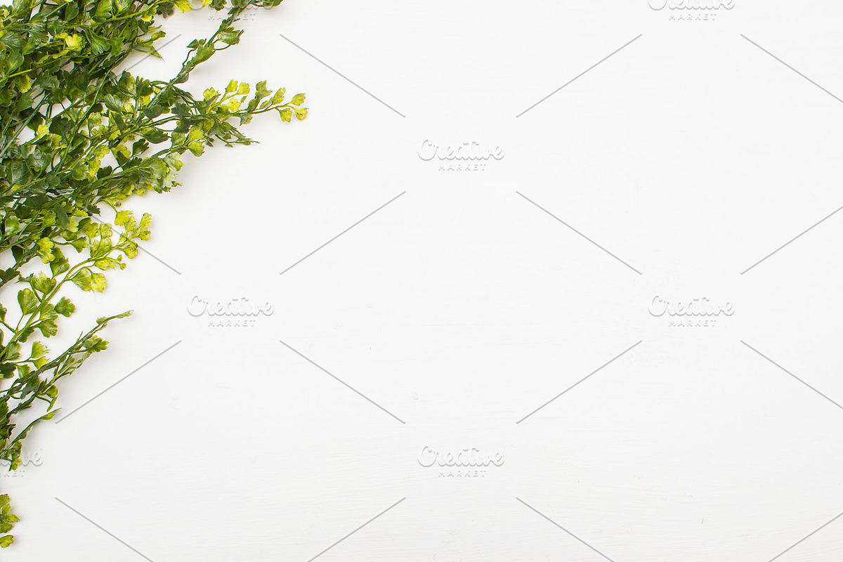 Modern Mockup, Clean Mockups, a Background Photo by BlueBooks (Photo 8 of 14)