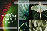 Cool nature | 325 stock photos, a Background Photo by Tale.Haus (Thumbnail 13 of 19)