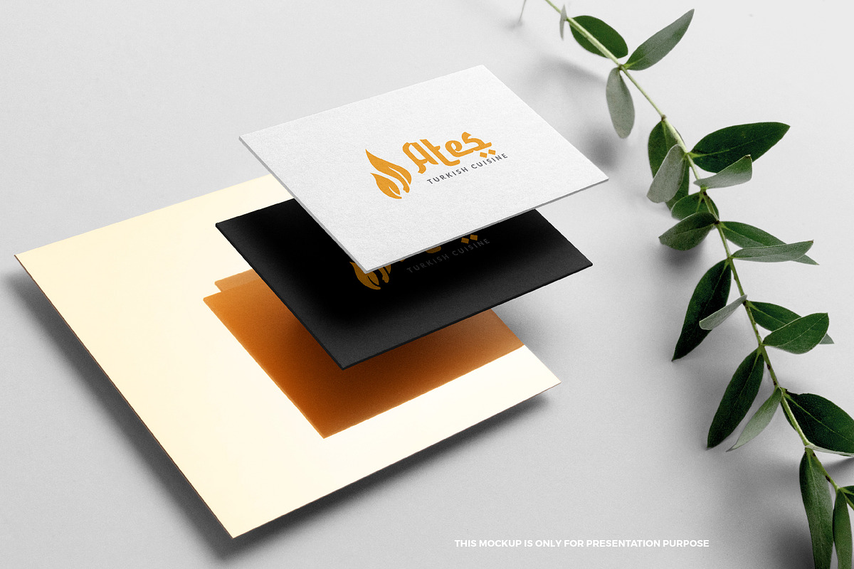 Ates logo, a Branding & Logo Template by MuzaInspires (Photo 3 of 3)
