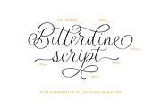 Bitterdine - Natural Calligraphy, a Script Font by Sarid Ezra (Thumbnail 4 of 9)