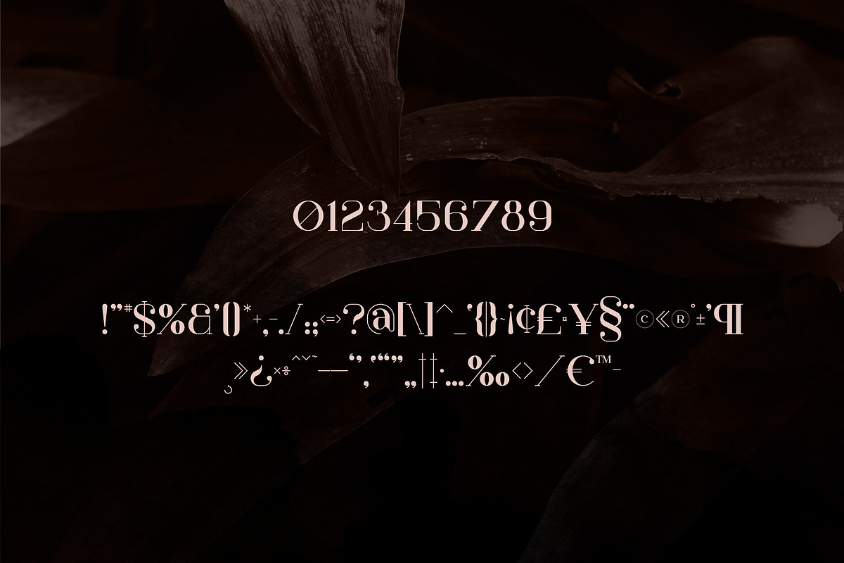 Papillon - Handcrafted Serif Font, a Serif Font by VP Fonts (Photo 12 of 13)