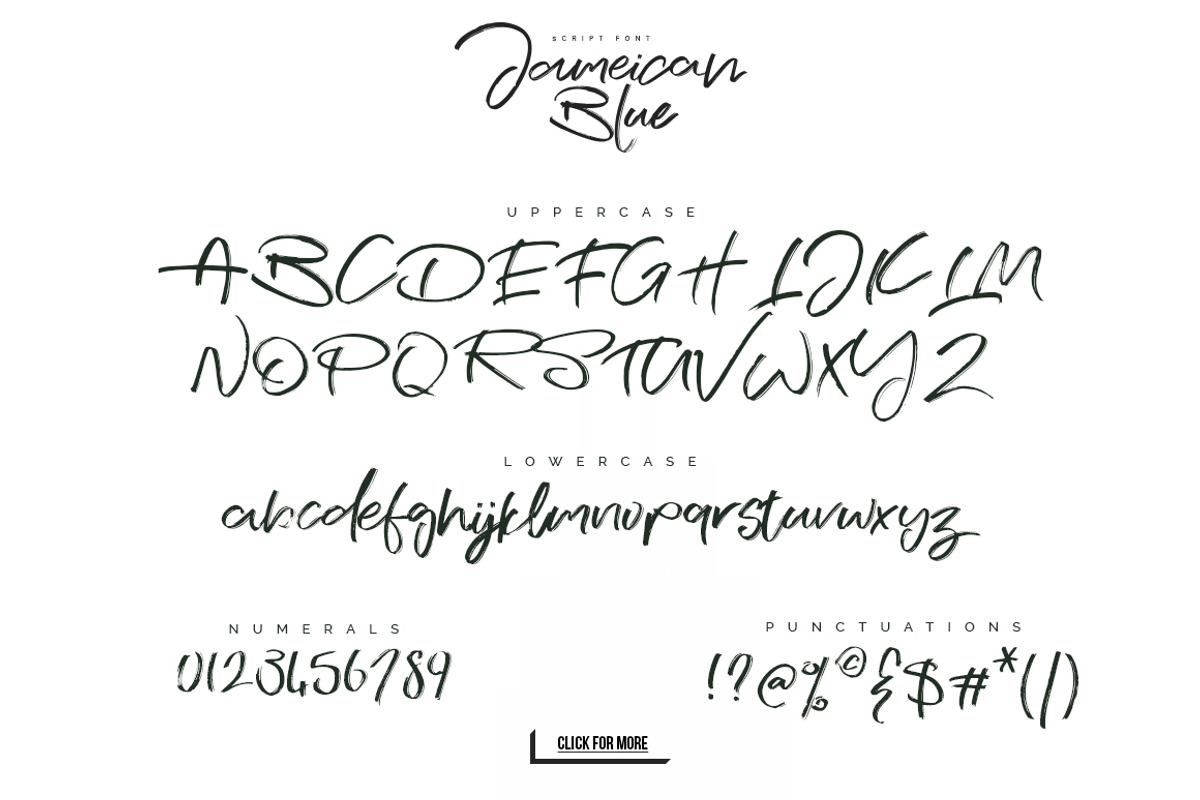 Jameican Blue Font, a Script Font by Yasir Ekinci (Photo 9 of 9)