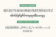 Welcome Holiday - Script Font Duo, a Script Font by Jozoor (Thumbnail 8 of 9)