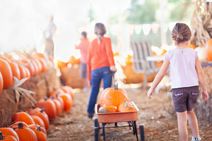 Two Young Girls at A Pumpkin Patch, a Holiday Photo by Andy Dean Photography