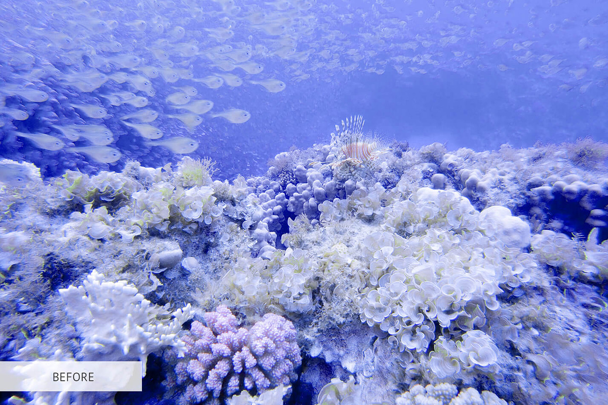 Underwater Photography Presets, a Plug-in Add-On by FixThePhoto (Photo 24 of 32)