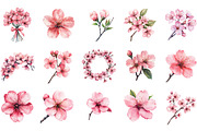 Watercolor Sakura Blossoms Clipart, an Illustration by Designking (Thumbnail 2 of 5)