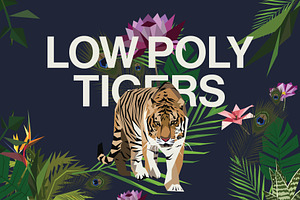 Tiger illustrations in lowpoly style