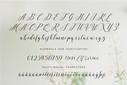 Verbatim Calligraphy Script PRO, a Script Font by INKMETHIS (Thumbnail 4 of 7)