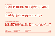 Gisgro - Playful Serif Display, a Serif Font by Pandeka Studio (Thumbnail 9 of 9)