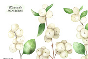 Watercolor snowberry clipart, an Illustration by OlDm_Shop (Thumbnail 4 of 11)