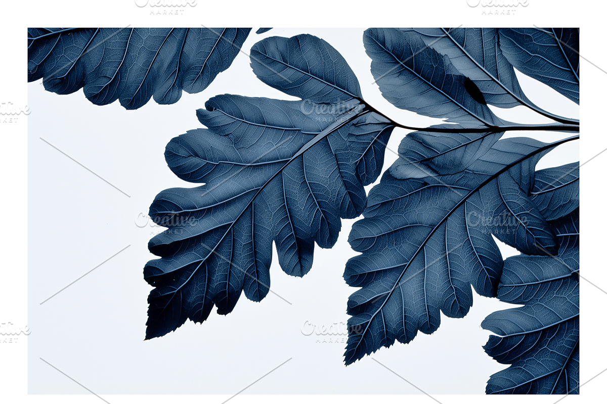 Cyle Collection · Blue Tone Leaves, a Background Graphic by milatovar (Photo 19 of 32)