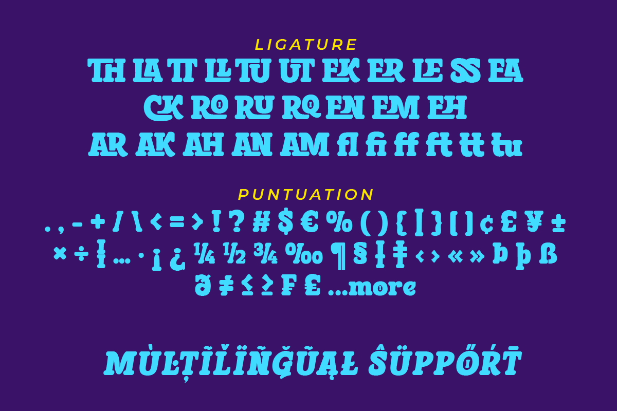 Bleqcki - Serif Display Font, a Serif Font by twinstd (Photo 3 of 9)