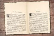 Old Book Paper (Double Page Spreads), a Texture Illustration by Secret Helper (Thumbnail 5 of 7)