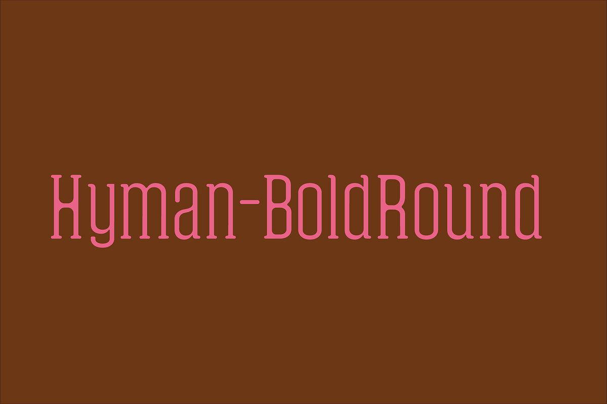 Hyman Rounded Serif Font Family, a Sans Serif Font by Design House (Photo 1 of 3)