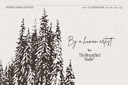 Snow-Covered Winter Pine Forest, a Seasonal Illustration by TheMountBirdStudio (Thumbnail 3 of 5)