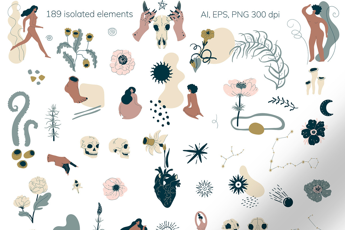 Magical bundle, an Animal Illustration by Vector Mystery (Photo 5 of 13)