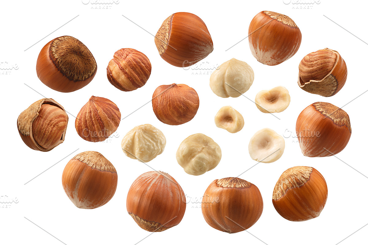 Hazelnuts, an Object Graphic by Hortimages (Photo 1 of 2)