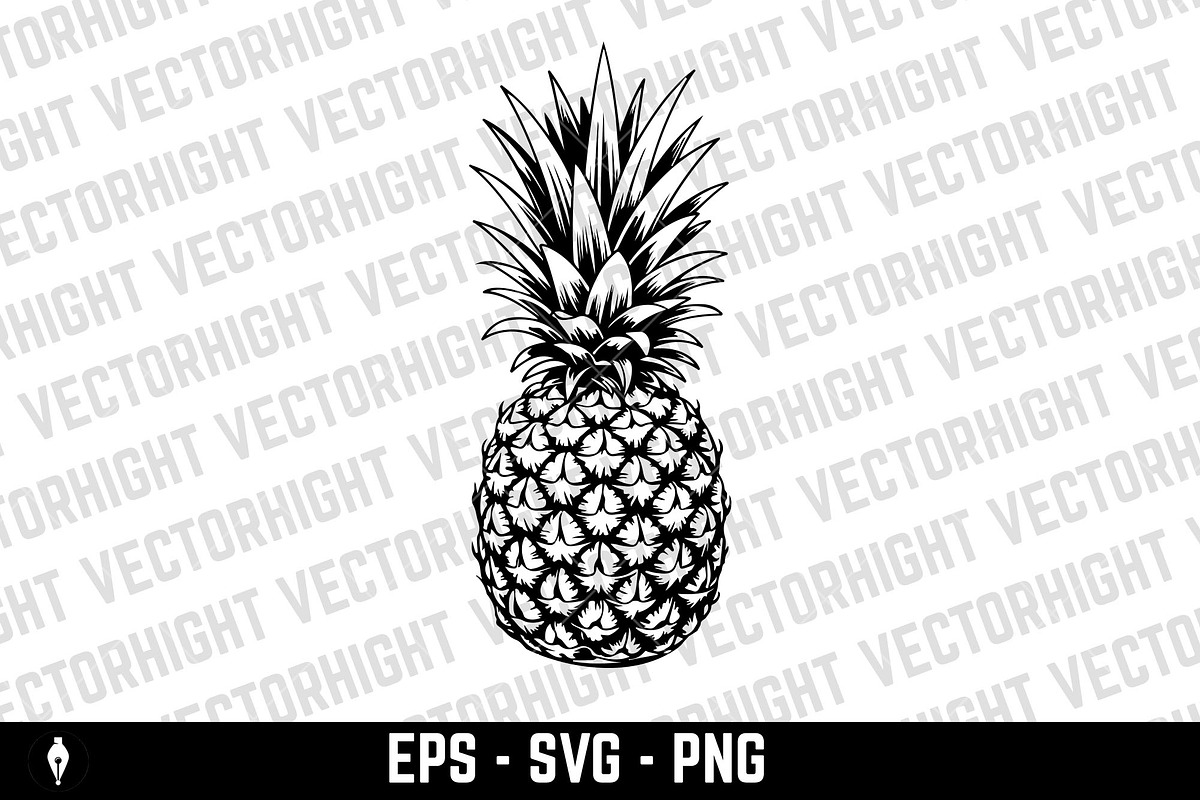 illustration of pineapple, an Animal Illustration by Vectorhight