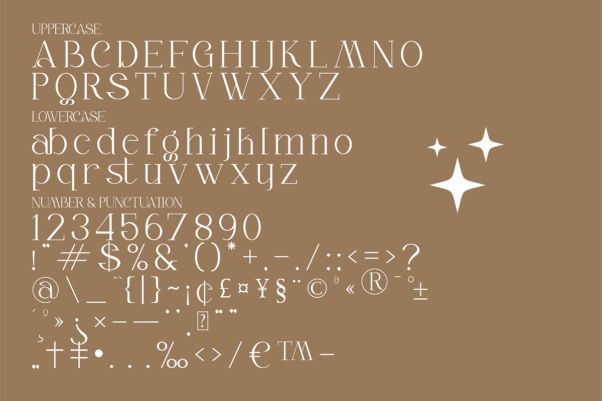 Alika Minimalist Serif Font, a Serif Font by Storytype Studio (Photo 6 of 8)