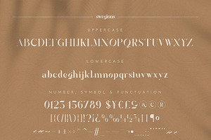 Swegions Serif Display