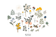 Autumn botany & Halloween mystery, a Seasonal Illustration by Ruslana Lubenets (Thumbnail 3 of 21)