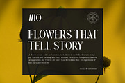 Antesa || Modern Classy Serif Font, a Serif Font by Ermedia Studio (Thumbnail 4 of 10)