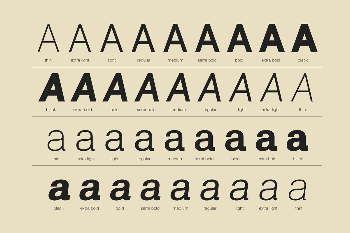 Lenia Sans Family | Intro 75% OFF, a Sans Serif Font by Lettertype Studio (Photo 2 of 15)