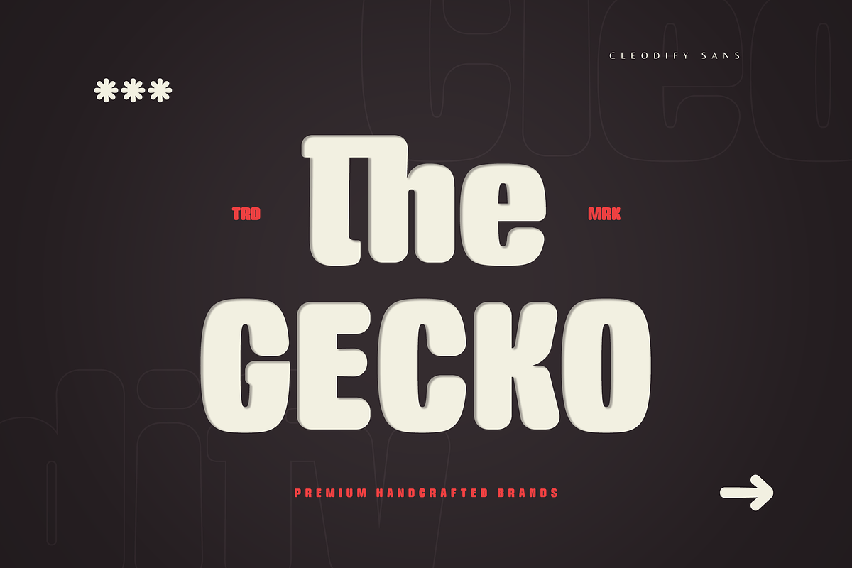 Cleodify - Bold Modern Sans, a Sans Serif Font by Namara Creative Studio (Photo 5 of 13)