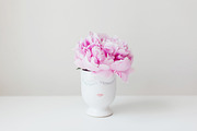 Lady Peony Mini-Bundle, a Beauty & Fashion Photo by Light & Grace (Thumbnail 5 of 6)