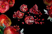 Pomegranate Watercolor, a Food Illustration by ArtOwl (Thumbnail 2 of 6)