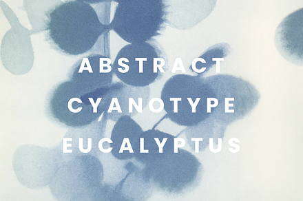 Blue Eucalyptus Cyanotype Textures