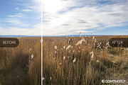Sharpness & Clarity LR Presets, an Action Add-On by Contrastly Shop (Thumbnail 3 of 6)