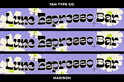 TAN - MADISON, a Font by TanType (Thumbnail 10 of 10)