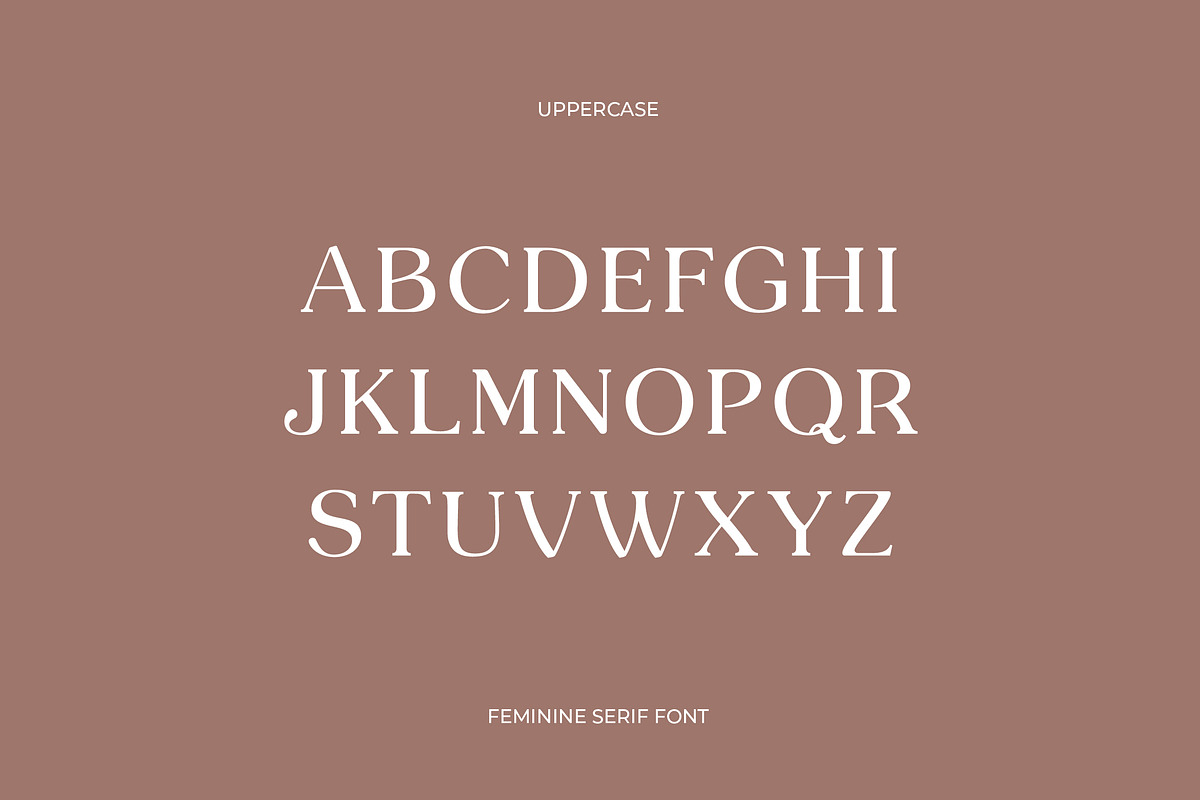 Mont Glinoza Modern Serif Font, a Serif Font by UICreative (Photo 4 of 14)