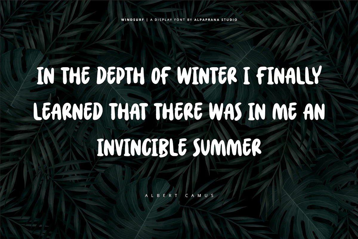 Windsurf - Playful Display Font, a Script Font by Alpaprana (Photo 4 of 11)