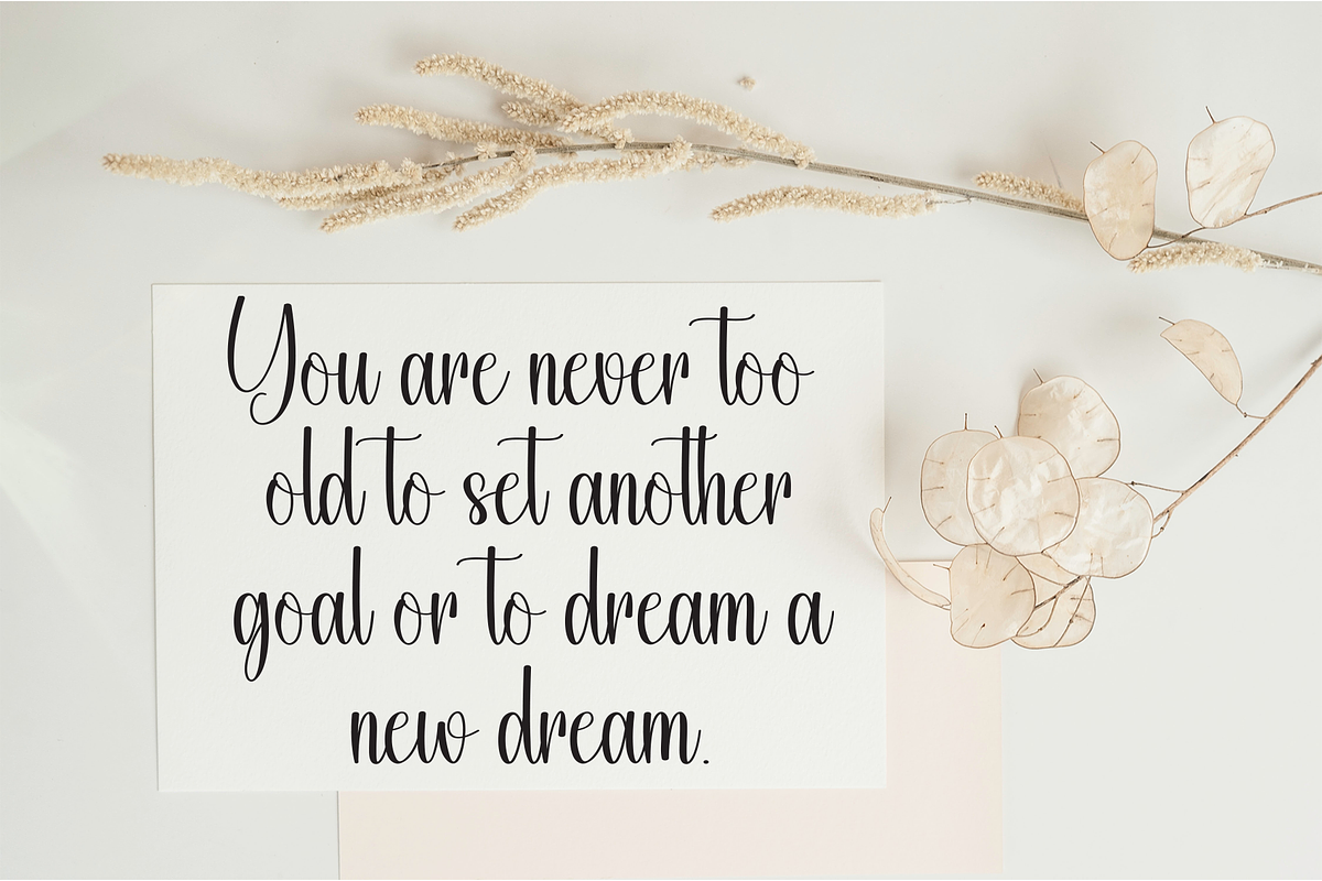 Snowhouse | Script Font, a Handwritten Font by Scratchones (Photo 3 of 8)
