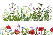 Wild herbs. Wildflowers in summer, an Illustration by irina.vaneeva (Thumbnail 2 of 5)