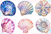 Watercolor Summer Seashells Clipart, a Seasonal Illustration by Canvas Craft (Thumbnail 2 of 3)