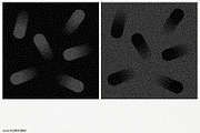 Stipple 2 - 100 dotted objects, an Object Graphic by kloroform (Thumbnail 15 of 21)