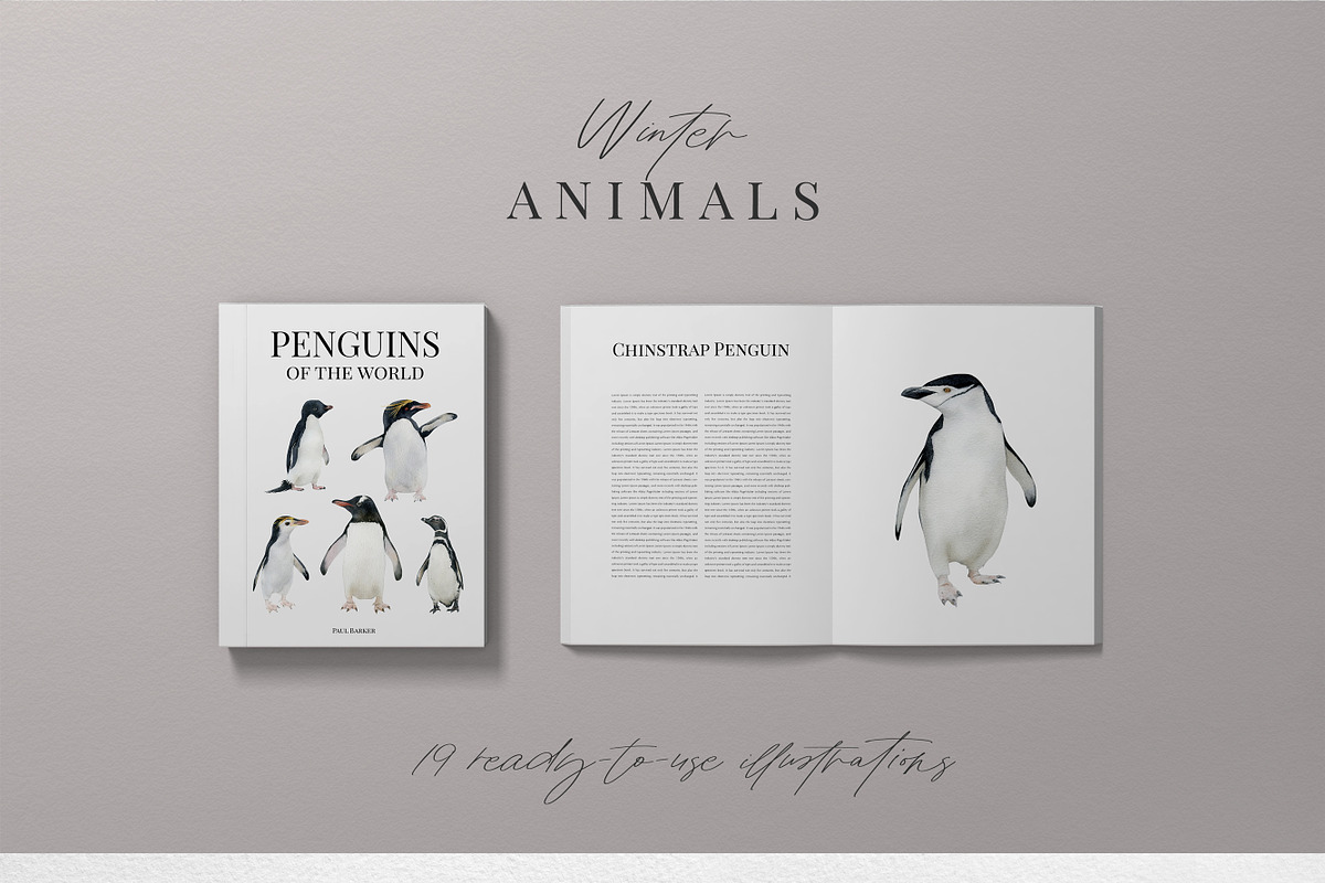 Watercolor penguins. Winter animals, an Animal Illustration by Diana Askarova Art (Photo 2 of 6)