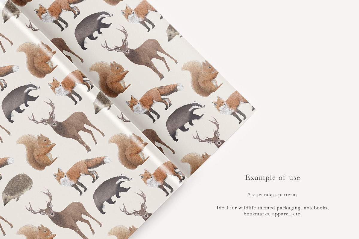 British Wildlife Species Set - PNGs, an Animal Illustration by LaurenFittonIllustration (Photo 7 of 10)